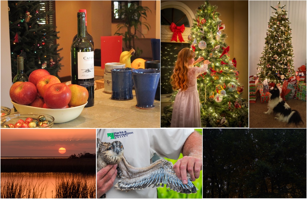 Exhibit 60: Celebration / Best of Field Trips collage of thumbnail images of the 6 winners